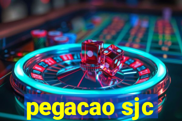 pegacao sjc